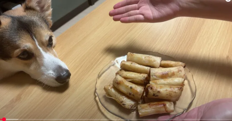 룸피아 (필리핀식 바삭 스프링롤)